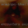 Encounters swinger